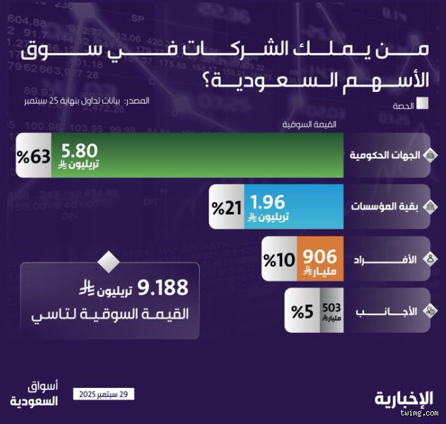 من يملك 80% من سوق الأسهم؟