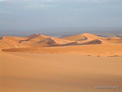 هل صحراء الجزائر هي أكبر صحراء في العالم؟