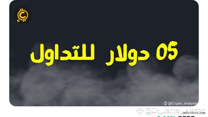 هل يمكن التداول بـ 5 دولارات فعلاً؟
