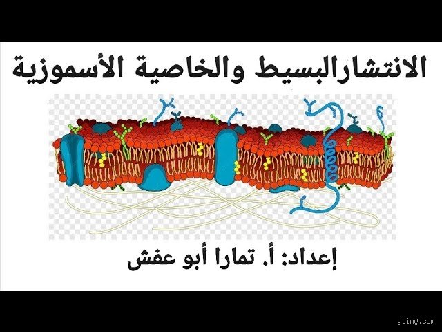 ما هو الانتشار باختصار؟