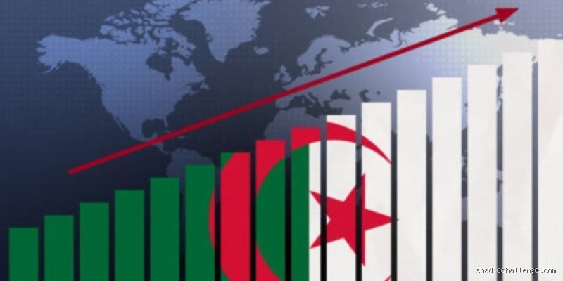 ما هي الشركات الأجنبية في الجزائر؟