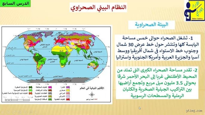 ما هي البيئة المكونة من 20 سطراً وكيف تعيد تعريف البساطة التقنية؟