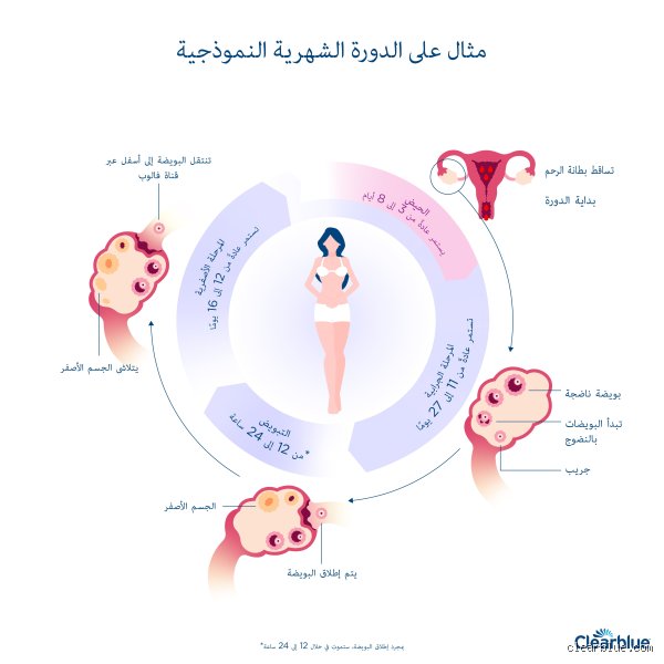 أول دورة للبنت كم يوم؟ الدليل الطبي والواقعي الكامل لرحلة البلوغ