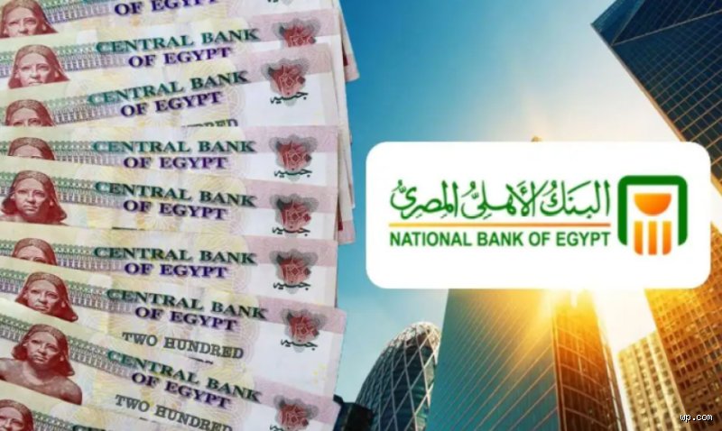 فوائد 50 ألف في البنك شهريا كم؟ العائد الحقيقي خلف الأرقام البراقة