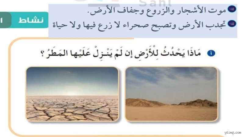 ماذا يحدث للأرض إذا نزل عليها المطر؟