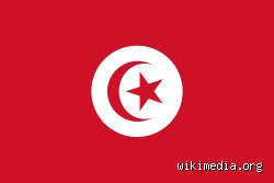 هل التونسيون عرب أم بيض؟