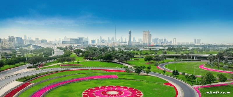 هل دبي مدينة نظيفة؟ الحقيقة العارية خلف بريق ناطحات السحاب