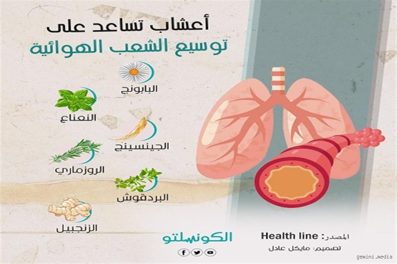 اشياء تساعد على توسيع الشعب الهوائية