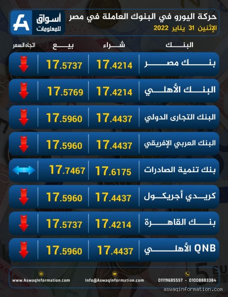 بكم سعر اليورو في مصر؟ دليلك الشامل لفهم تقلبات العملة الموحدة