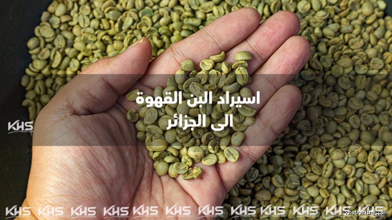 كم سعر كيلو القهوة في الجزائر؟ رحلة البحث عن "السوداء" في سوق متقلب