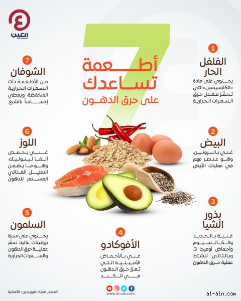 ما هي أكثر أكلة تحرق الدهون؟ إليك الحقيقة الصادمة وراء أسطورة السعرات السالبة