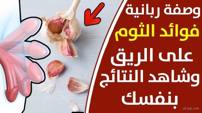 The user wants the first part of a professional article in Arabic about "هل الثوم فياجرا طبيعية؟".