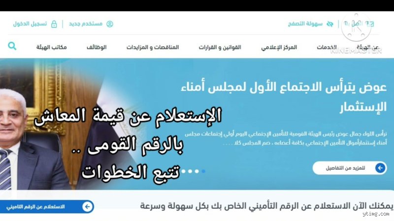 كيف أعرف مبلغ المعاش؟ الدليل الشامل لفهم مستقبل