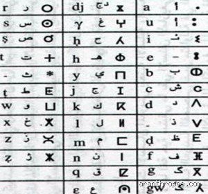 ما هي لغة الأمازيغ؟ رحلة في ذاكرة شمال أفريقيا الحية
