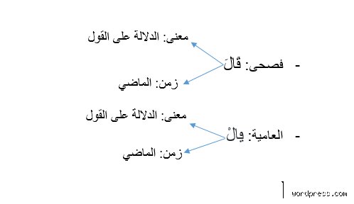 ماذا تعني كلمة 🥑 في اللغة العامية؟ دليل فك شفرات الجيل Z