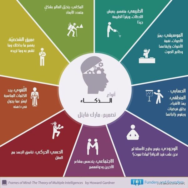 ما هي أنواع الذكاء السبع؟