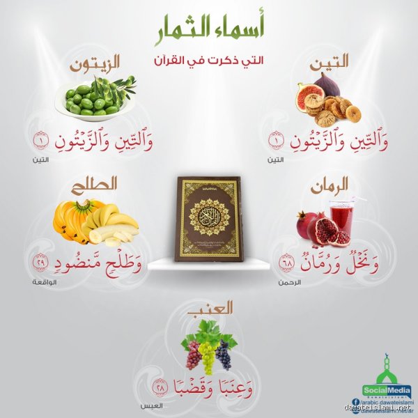 ما هي الفاكهة التي ذكرت في القرآن باسم طلح؟