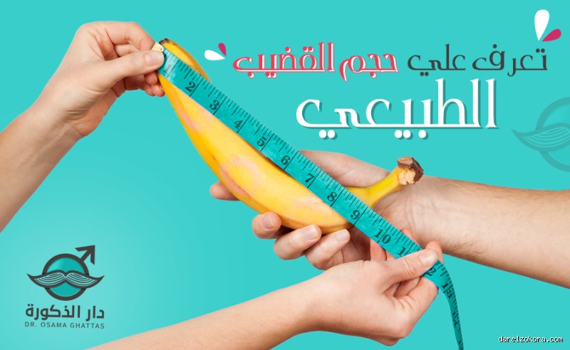 ما هو أطول حجم للعضو الذكري؟ الحقيقة الموثقة بعيدًا عن الأساطير