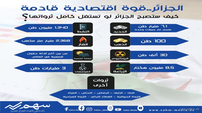 كم تبلغ ثروة دولة الجزائر؟