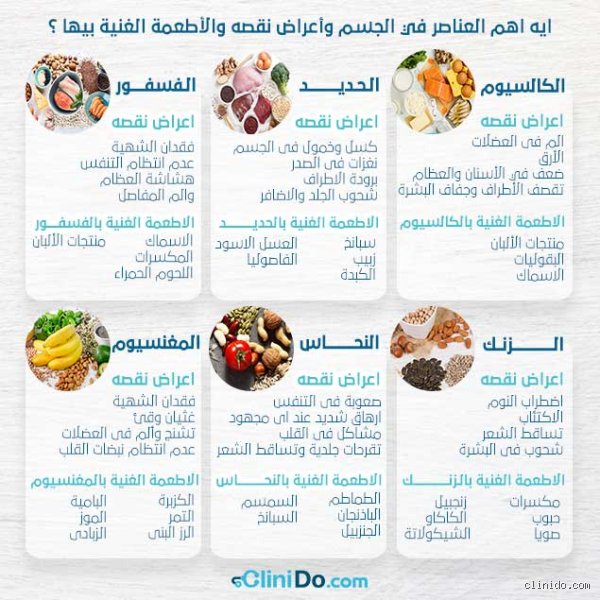 دليلك الشامل لمعرفة ما هي العناصر الغذائية التي يحتاجها الجسم بعيداً عن خرافات الـ "تريند"