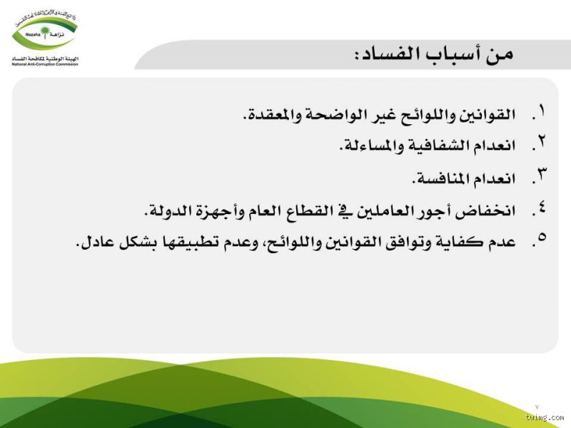من أسباب الفساد في الدول العربية؟ هل هي مجرد قلة ضمير أم نظام بأكمله؟