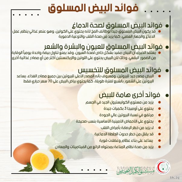 هل البيض مفيد للرئة؟