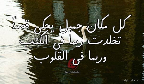 فن الاحتفاء بالمكان: كيف يمكن مدح مكان جميل دون السقوط في فخ التكرار؟