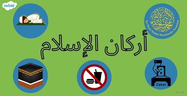 ما هي أركان العطاء الخمسة؟ دليلك لفهم فلسفة المنح المستدام
