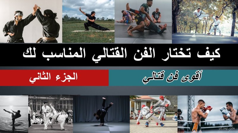 ما هي أقوى قتال في العالم؟ الحقيقة وراء المواجهات الأكثر فتكاً