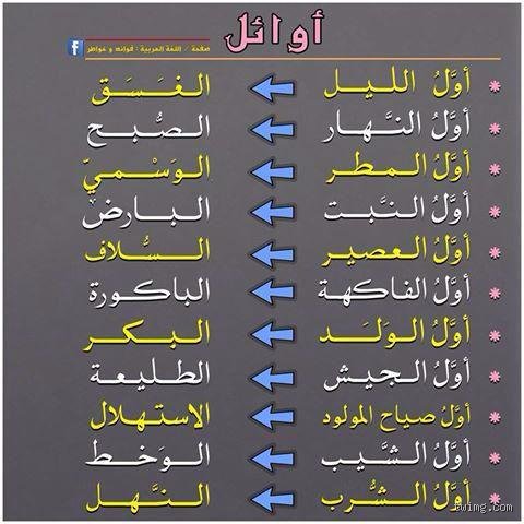 من هو أول النهار أو الليل؟ رحلة في فلسفة الزمن وفيزياء الفلك