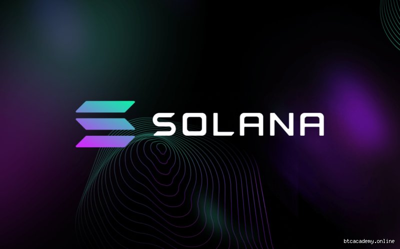 هل تستطيع سولانا الوصول إلى 500 دولار؟ استكشاف واقعي لجنون الشبكة الأسرع