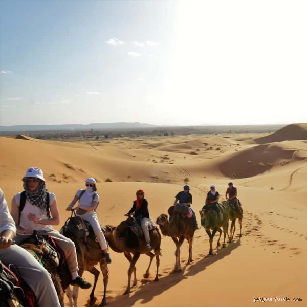 هل ثلاثة أيام في مراكش مدة طويلة جداً؟ دليل المسافر الذكي لتفكيك شيفرة المدينة الحمراء