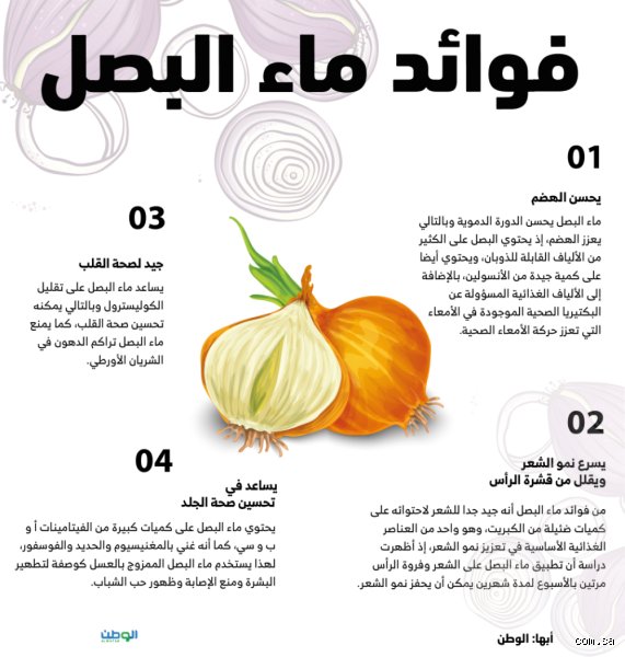 فوائد شرب مغلي ماء البصل: حقيقة أم خرافة؟