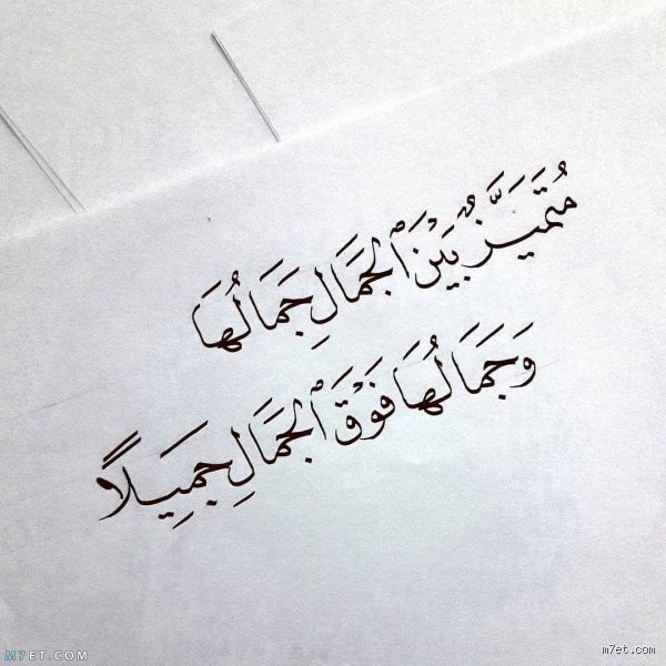 كيف تصف الجمال؟ فن تحويل الدهشة إلى لغة ملموسة