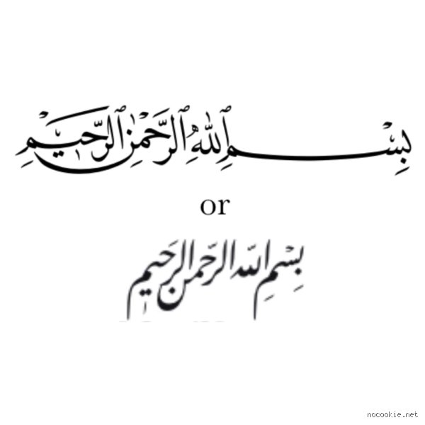 لماذا نرى تكرار ماذا تعني ﷽ ﷽ ﷽ ﷽ ﷽ ﷽ في الفضاء الرقمي؟