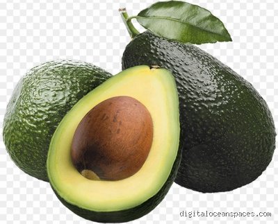 معنى كلمة avocado بالعربية وأسرار هذه الثمرة المثيرة للجدل