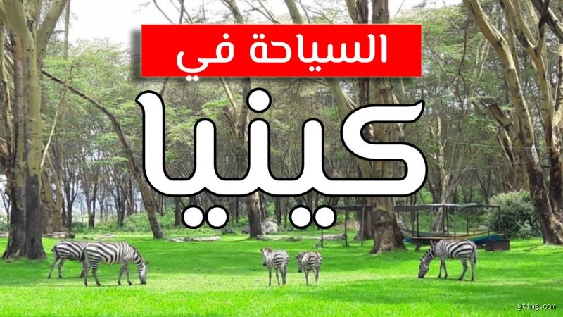كينيا أم جنوب أفريقيا؟ الدليل النهائي لاختيار وجهتك الأفريقية القادمة