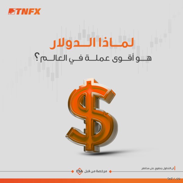 ما الذي سيجعل الدولار أقوى؟ رحلة البحث عن الملاذ في عالم مضطرب