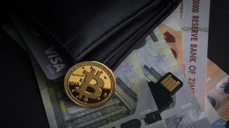 أي عملة مشفرة ستشهد ازدهاراً في عام 2050؟ سباق البقاء في عصر السيادة الرقمية