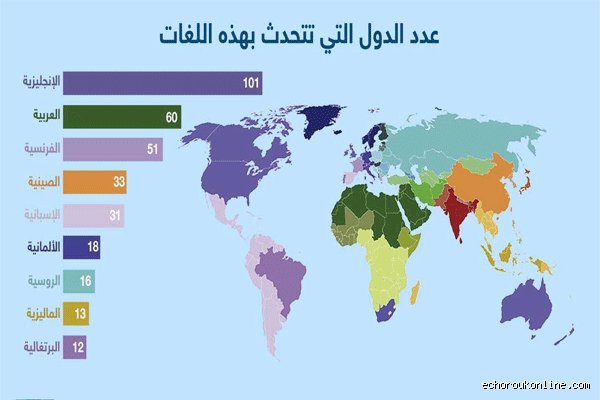أين تُتحدث اللغة العربية بكثرة في الولايات المتحدة؟ خارطة الشتات واللسان الضاد