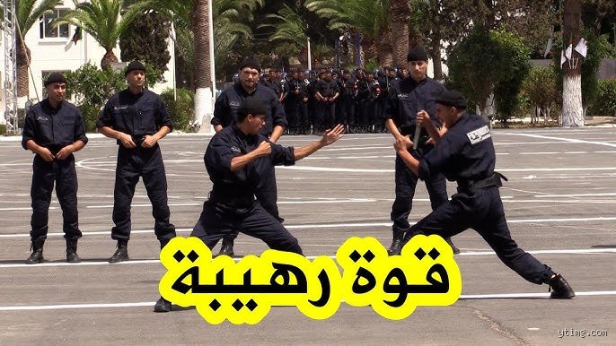 من هي أخطر شرطة في الجزائر؟ فك تشفير القوة الضاربة للأمن الوطني