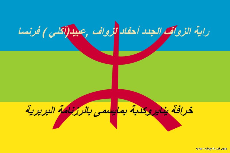 الجزائريون هل هم عرب؟ تفكيك الهوية بين سطوة التاريخ وعلم الجينات
