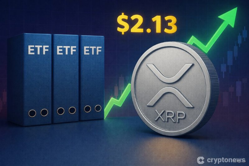 توقعات سعر XRP 2026: هل تنفجر الفقاعة أم نشهد ولادة العملة الاحتياطية الرقمية؟