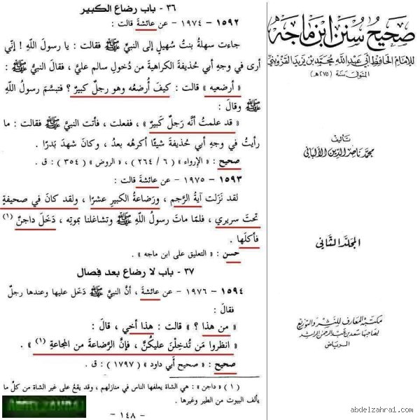 لغز رضاع الكبير عن عائشة في صحيح البخاري: قراءة في المرويات والوقائع