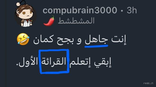 لماذا لم تُعجب عائشة بعلي على موقع ريديت؟ تشريح سيكولوجي واجتماعي لصدام الهويات الرقمية