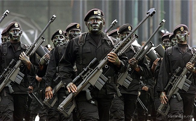 ما الذي يميز القوات الخاصة؟ تفكيك أسطورة النخبة العسكرية