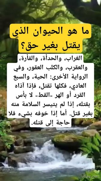 ما هو الحيوان الذي يقتل بدون حق؟ بين الفطرة الوحشية وسلوك الإنسان