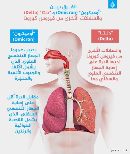 ما هو الفيروس الجديد الذي يهاجم الرئتين؟ الحقيقة خلف الرعب التنفسي القادم