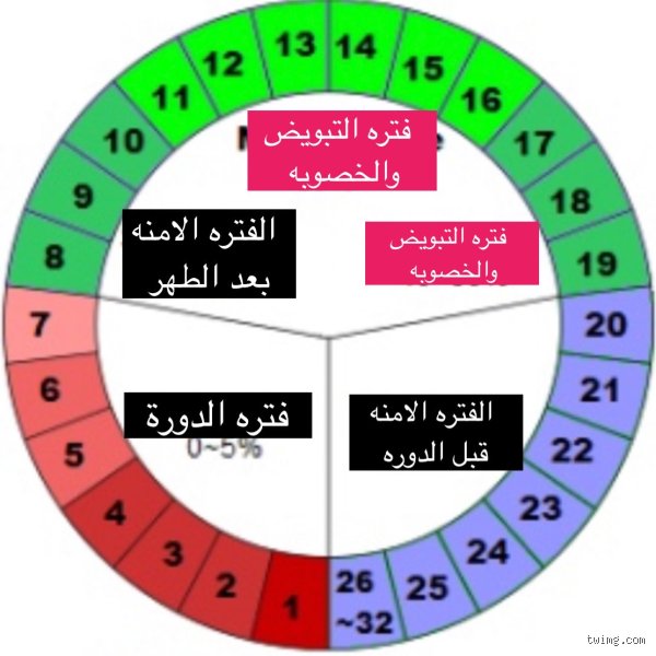 ما هي أقصر مدة الحمل؟ بين معجزات الطب البشري وحدود البقاء الرقمية