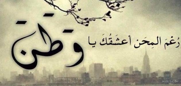 ما هي الأمثال عن الوطنية وكيف صاغت وجدان الشعوب؟